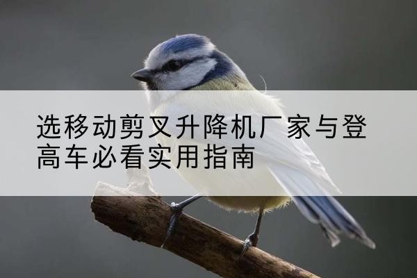 裕安电动升降机厂家-选移动剪叉升降机厂家与登高车必看实用指南