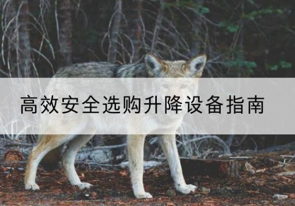 裕安升降货梯厂家推荐-*安全选购升降设备指南